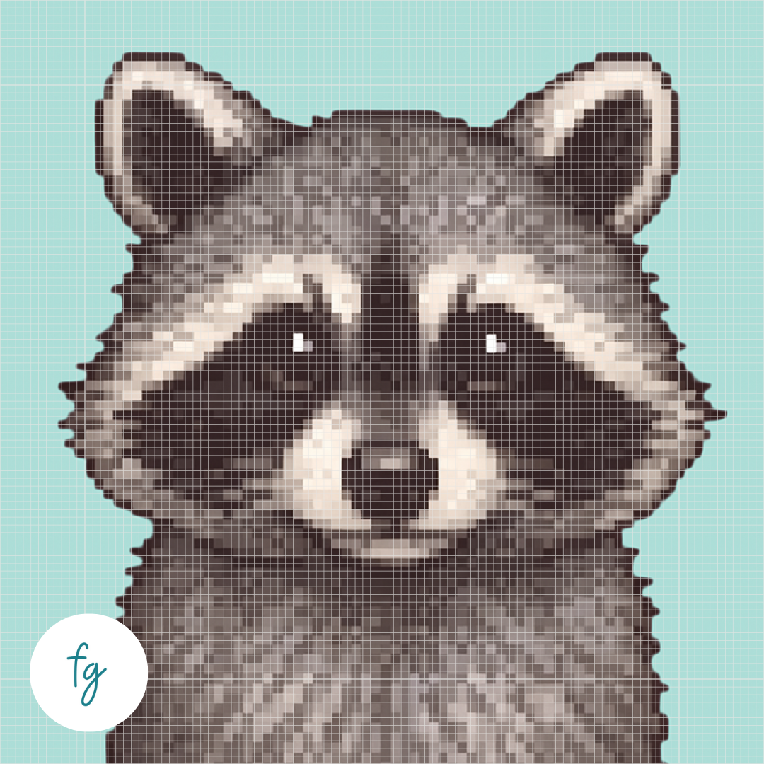 🎁 Racoon | Mini Diamond Painting (100% off)