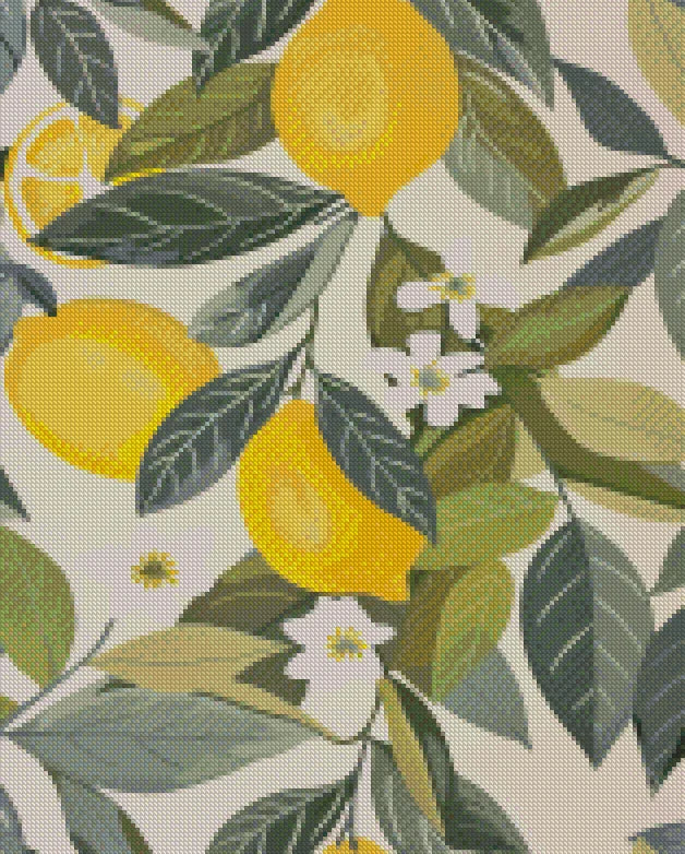 Lemon Zest | Portrait Diamond Painting