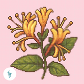 June, Honeysuckle | Mini Diamond Painting
