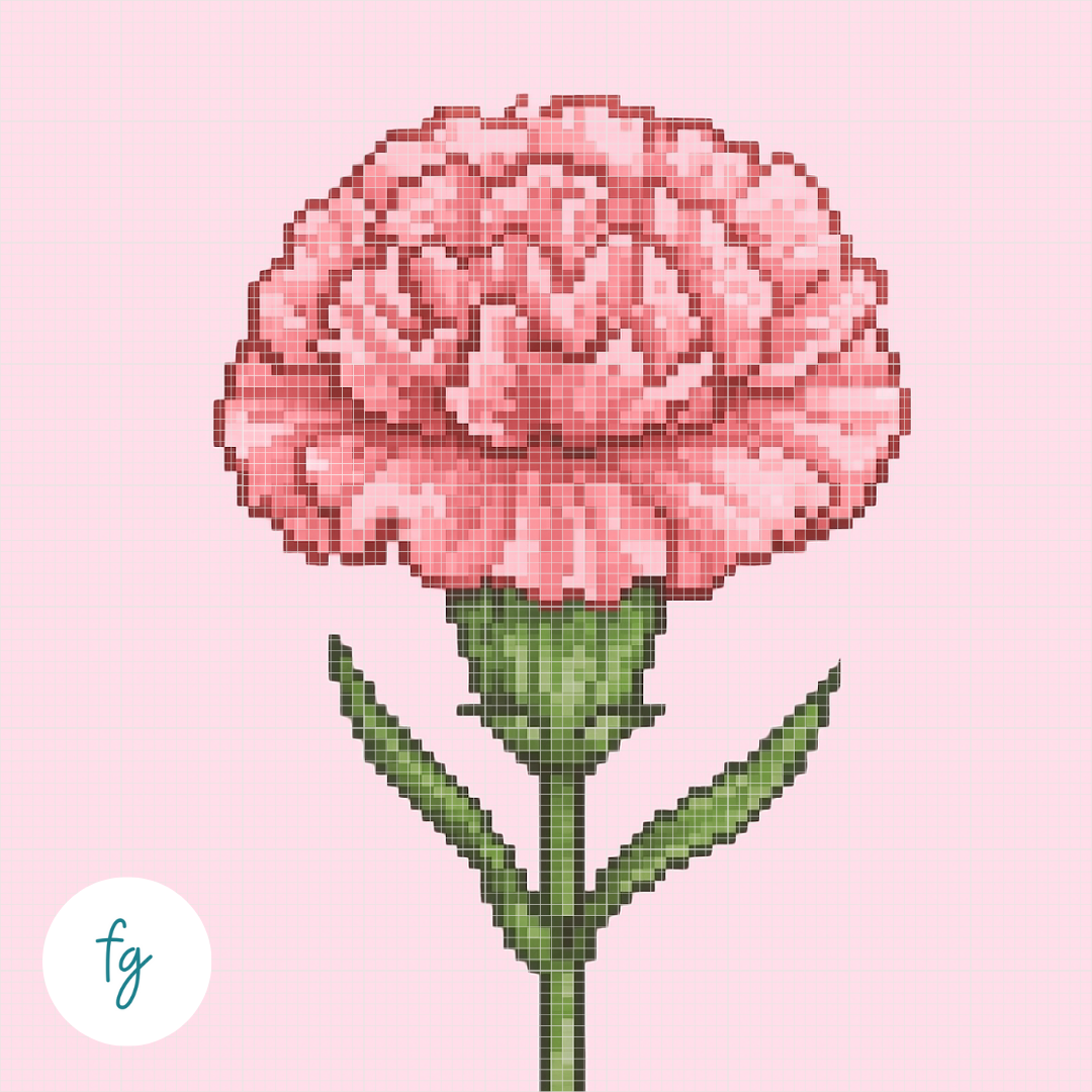 🎁 January, Carnation | Mini Diamond Painting (100% off)