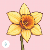 February, Daffodil | Mini Diamond Painting
