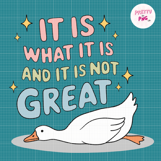 It Is What It Is And It Is Not Great | Mental Wellness Diamond Painting