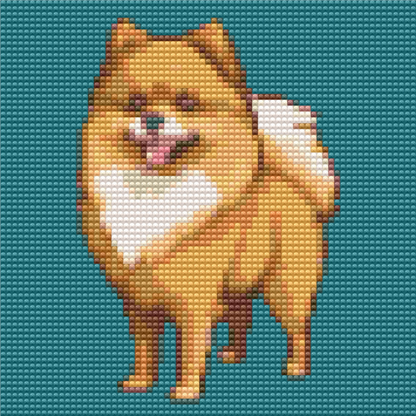 Pomeranian | Mini Diamond Painting