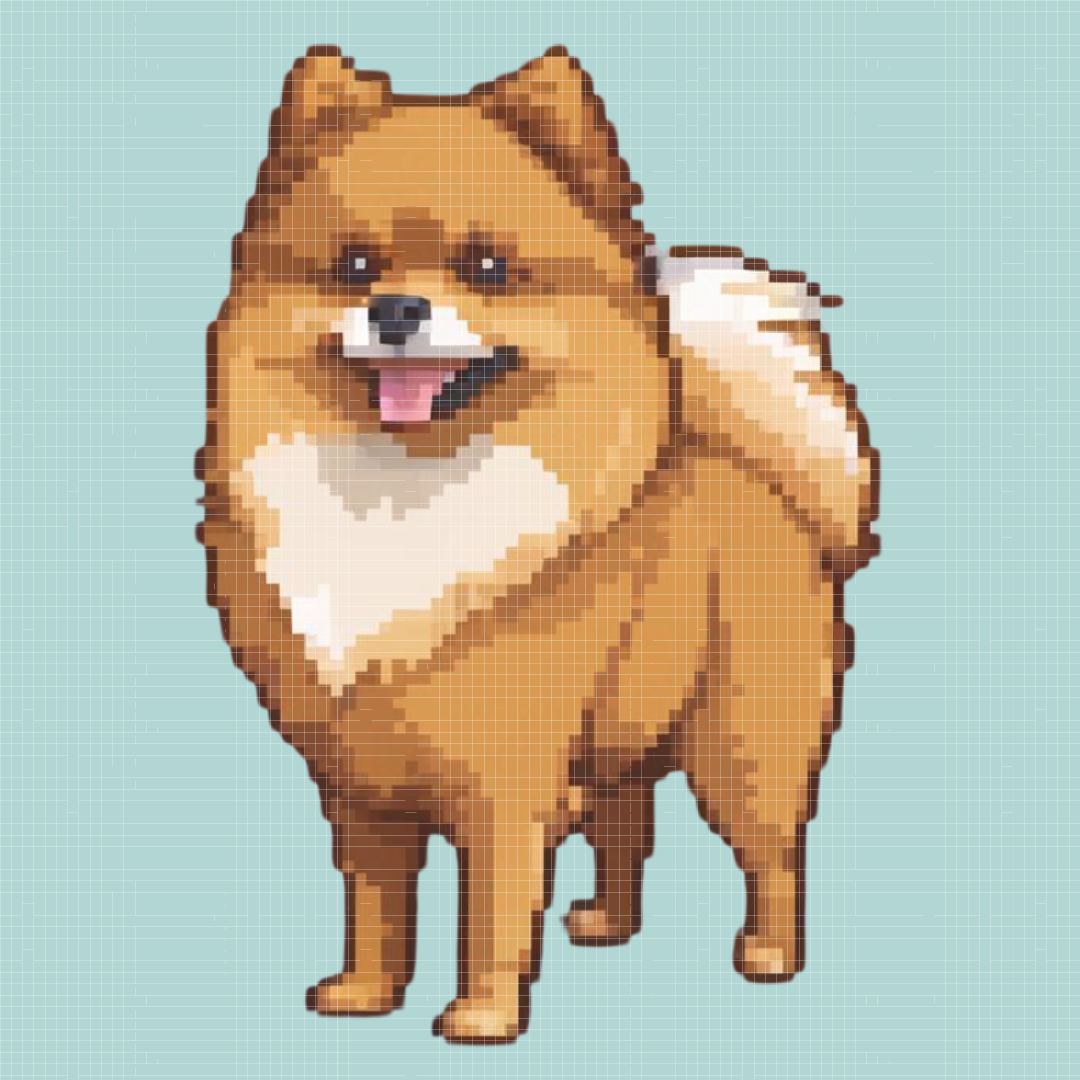 Pomeranian | Mini Diamond Painting