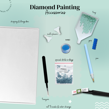 Fast Asleep| Unboxed Collection