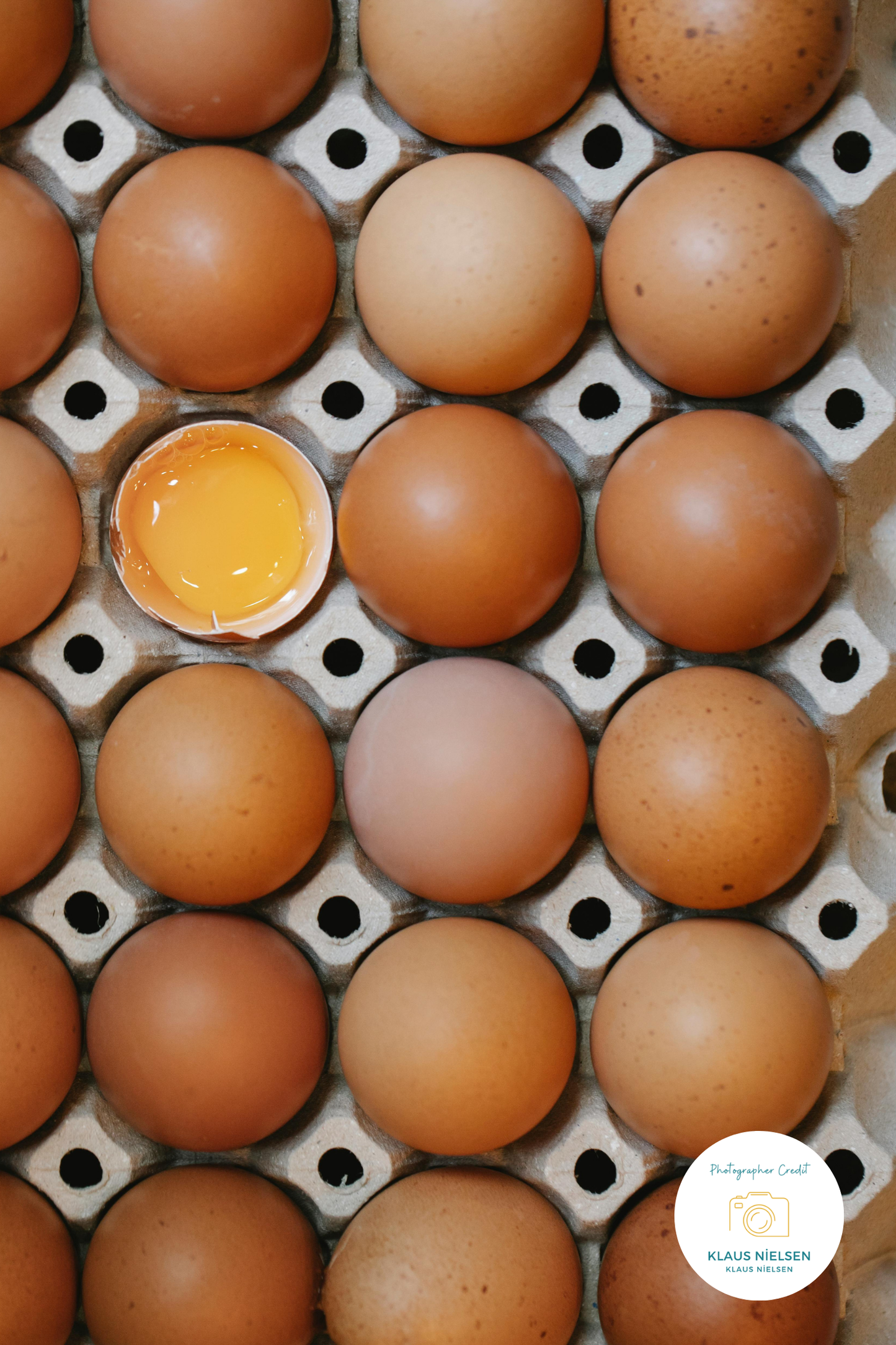 Sunny Side Up | Diamond Painting