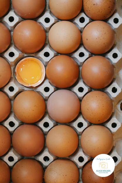 Sunny Side Up | Diamond Painting