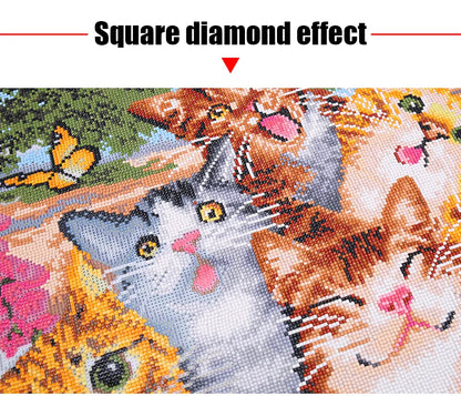 Custom Photo Diamond Painting 5D DIY